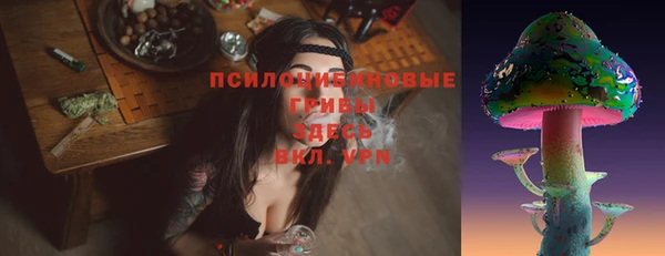 хмурый Медногорск