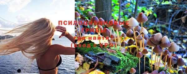 каннабис Магадан