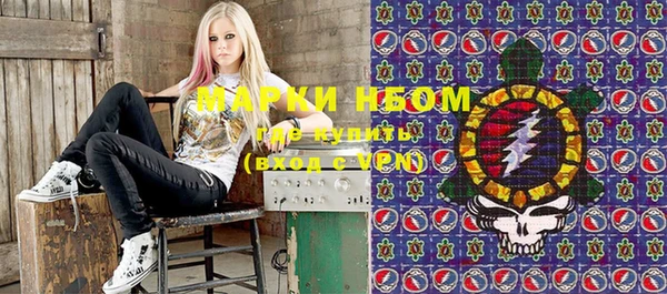 стаф Майский