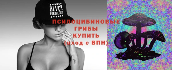 стаф Майский
