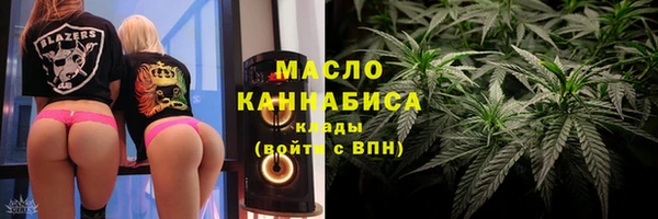 индика Каменногорск